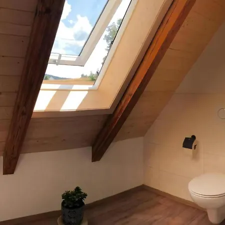 Apartmán Moderne Mit Hot Tub Und Fasssauna
