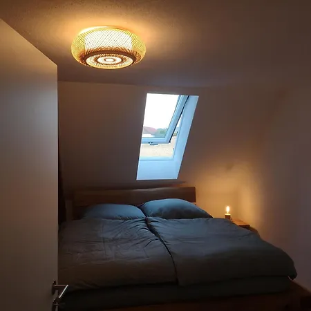 Moderne Mit Hot Tub Und Fasssauna Apartmán Hohenberg an der Eger